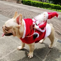 french bulldog santa claus riding deer christmas costume