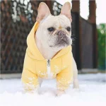 frenchies comminuty frenchiescommunity shop beache dog hoodie