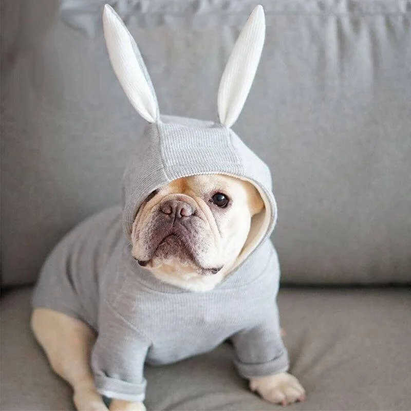 frenchies comminuty frenchiescommunity shop french bulldog rabbit hoodie
