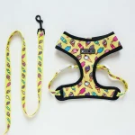 frenchies comminuty frenchiescommunity shop ice cream harness leash