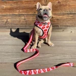 frenchies comminuty frenchiescommunity shop kiss harness leash