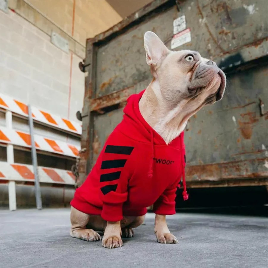 frenchies comminuty frenchiescommunity shop red woof hoodie
