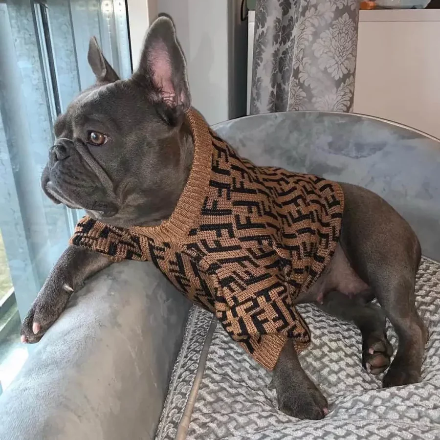 frenchies comminuty frenchiescommunity shop winter dog sweater