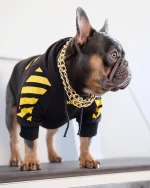 frenchies comminuty frenchiescommunity shop woof frenchie hoodie