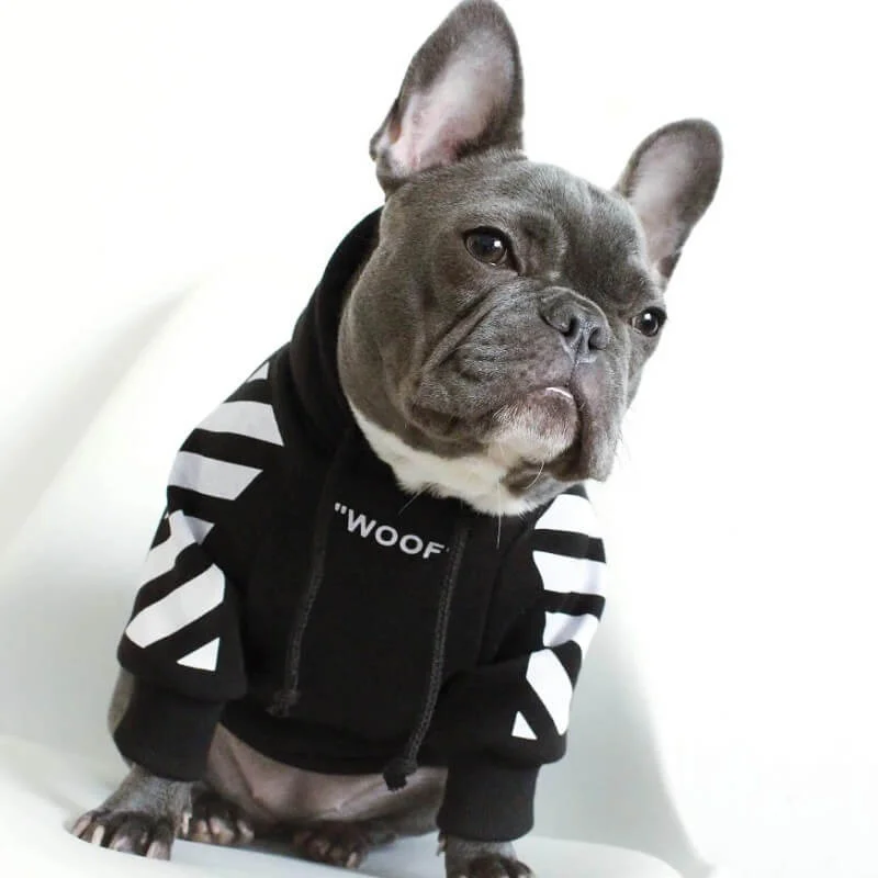 frenchies comminuty frenchiescommunity shop woof frenchie hoodie
