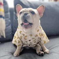 frenchies community beach life french bulldog shirt