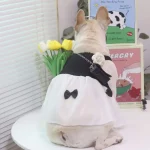 frenchies community black and white bridal dog dress with rose