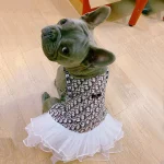 frenchies community dogior designer cute dog dress
