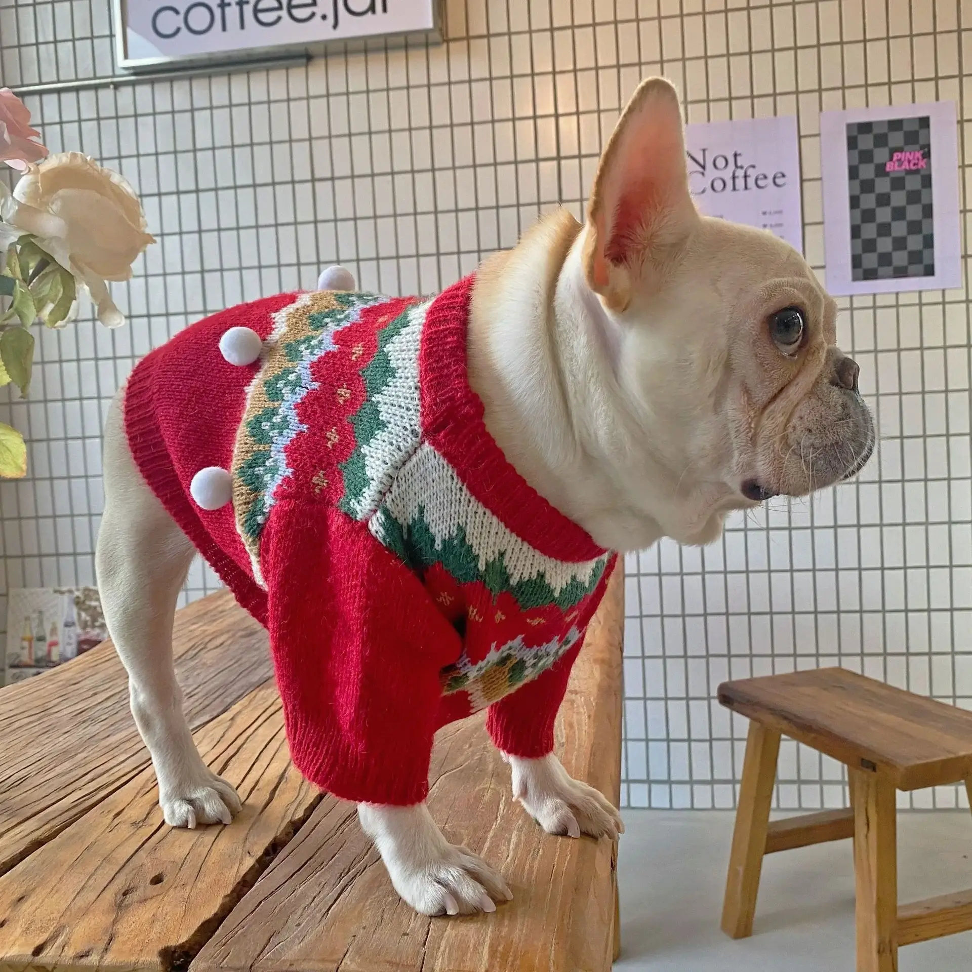 frenchies community festive xmas french bulldog sweater