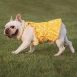 frenchies community french bulldog summer dress