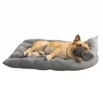 frenchies community frenchie dreamland bed