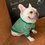 frenchies community frenchiescommunity shop green sweater