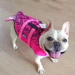 frenchies community mermaid shark life jacket