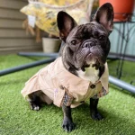 frenchies community plaid luxury dog dress