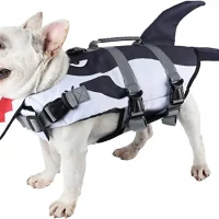 frenchies community shark french bulldog life vest