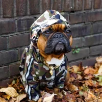 frenchies community shop frenchiescommunity barking jacket