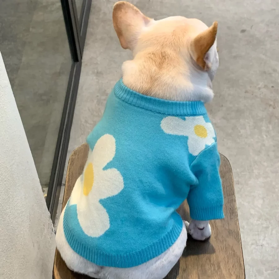 frenchies community shop frenchiescommunity blue flower sweater