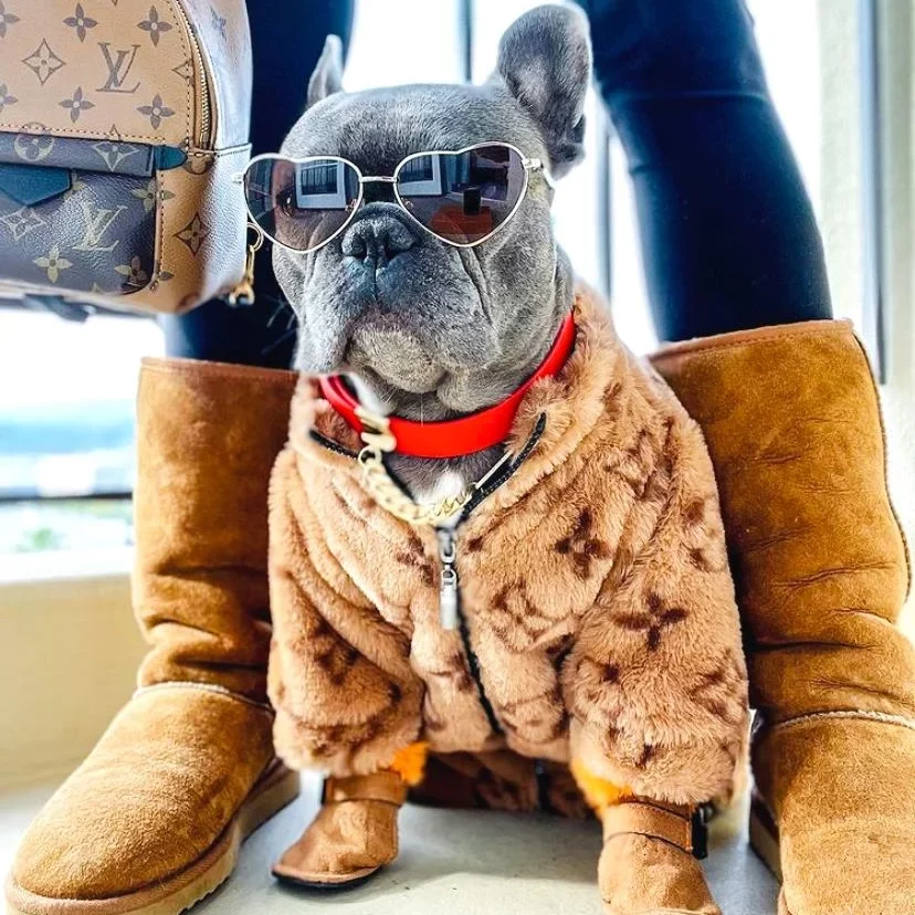 frenchies community shop frenchiescommunity chewy v faux fur dog jacket