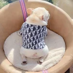 frenchies community shop frenchiescommunity dogior dog sweater