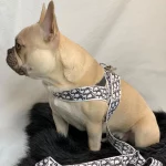 frenchies community shop frenchiescommunity dogior harness leash set