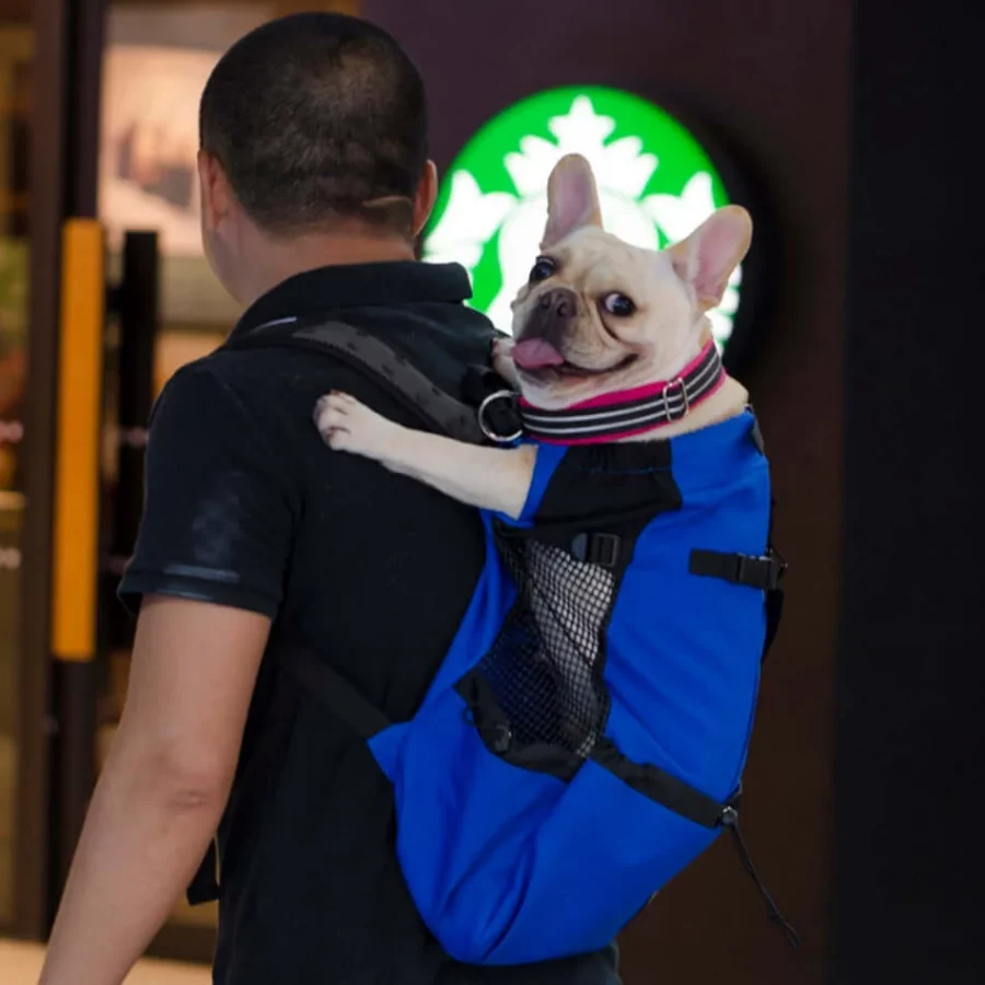 frenchies community shop frenchiescommunity french bulldog backpack