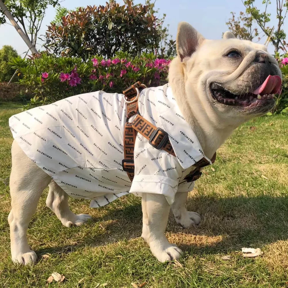French Bulldog Backpack Harness Set