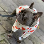 frenchies community shop frenchiescommunity heart eyes dog hoodie