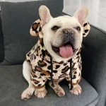 frenchies community shop frenchiescommunity leopard hoodie