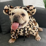frenchies community shop frenchiescommunity leopard hoodie