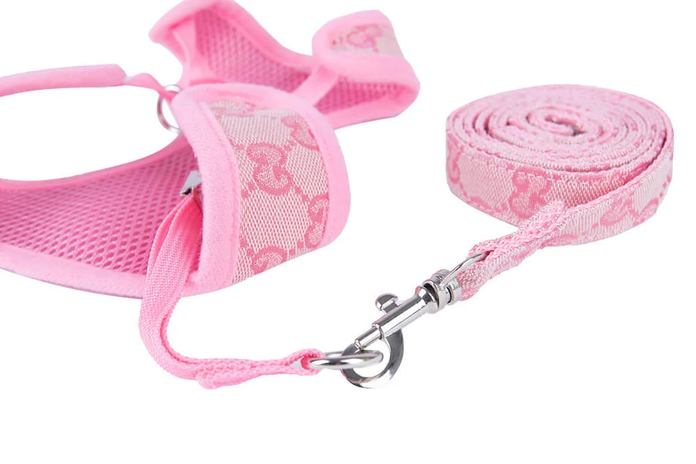 Harness – Paw Pals Lovers