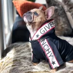 frenchies community shop frenchiescommunity pawvenchy dog hoodie