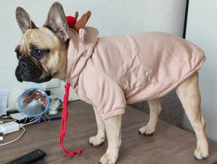 frenchies community shop frenchiescommunity reindeer french bulldog hoodie