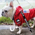 frenchies community shop frenchiescommunity the dog face raincoat