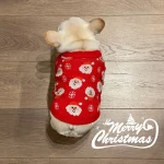 frenchies community shop frenchiescommunity xmas santa french bulldog sweater