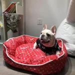 frenchies community shop pupreme luxury dog bed