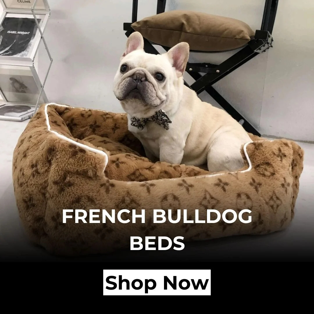 frenchies community home beds banner