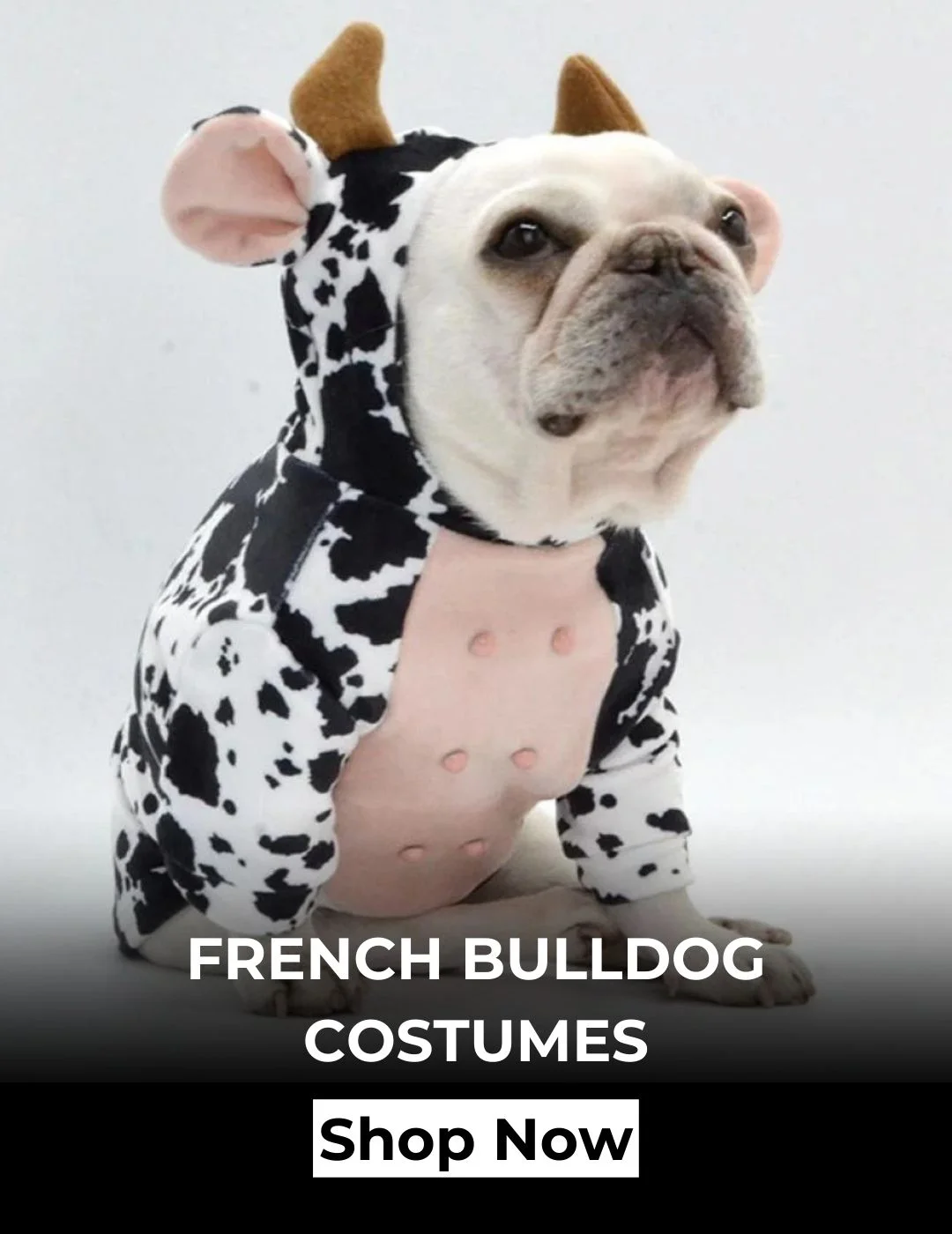 frenchies community home costumes banner