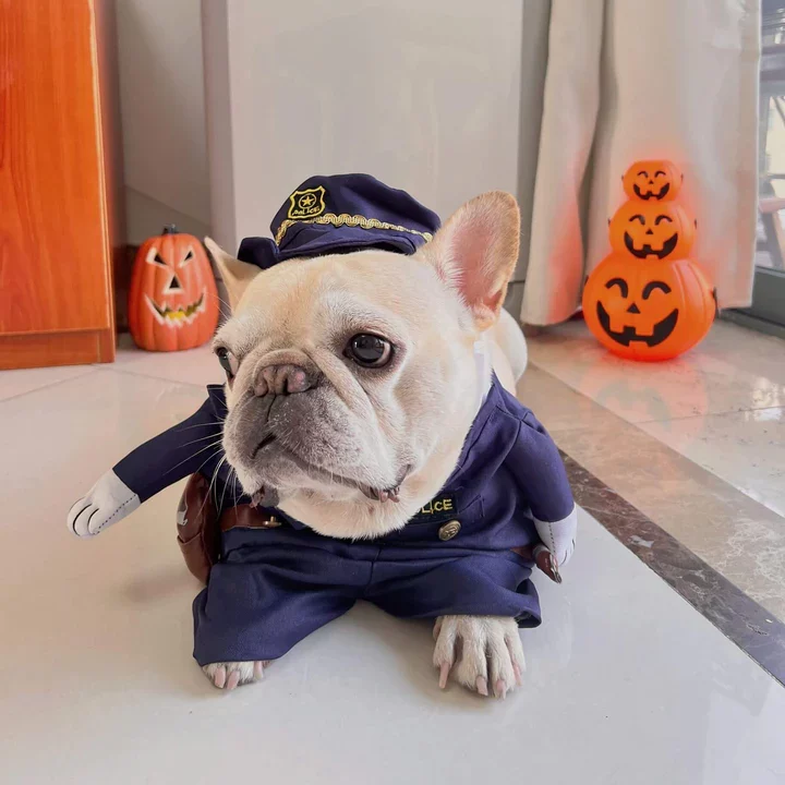 Police halloween costume -  France