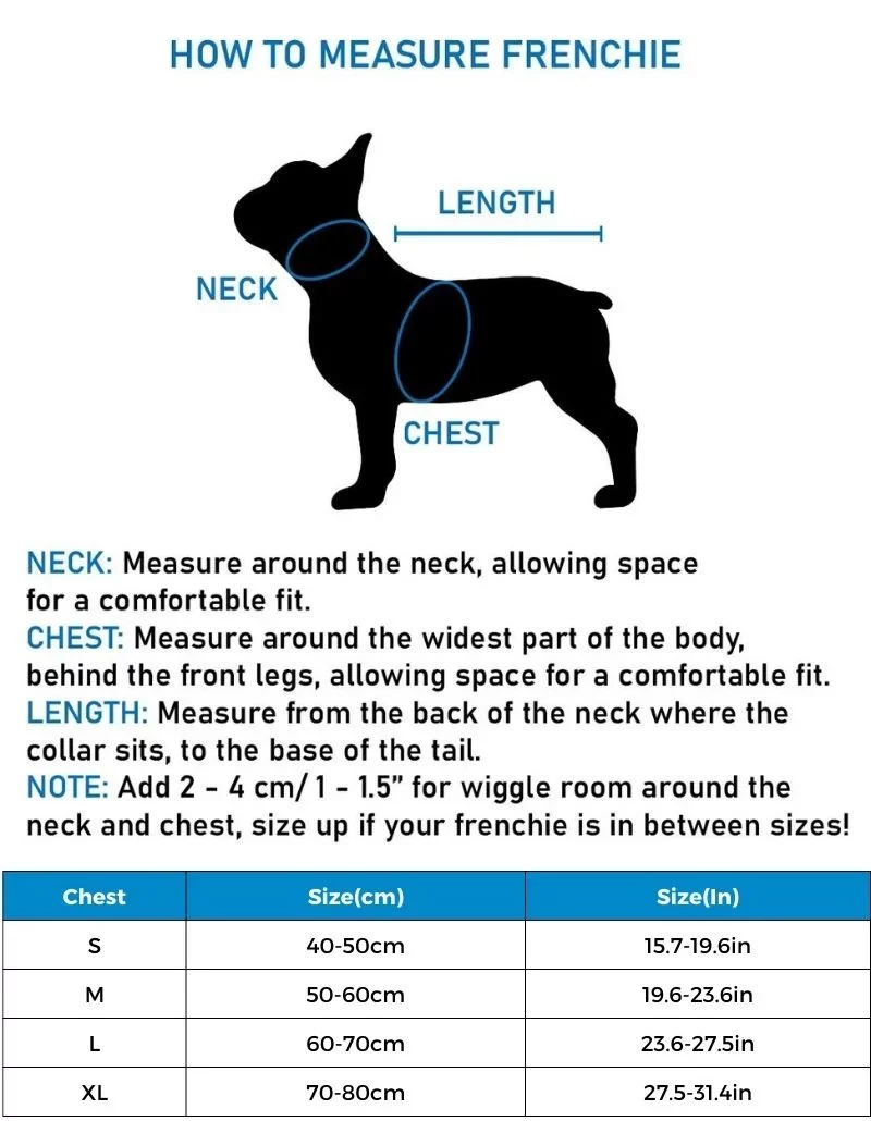 Pawcci Designer Dog Harness & Leash