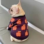 frenchies community apple french bulldog sweater