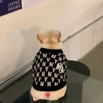 frenchies community french bulldog batpig sweater