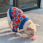 frenchies community french bulldog daddy sweater