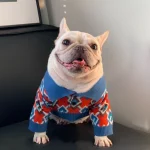 frenchies community french bulldog daddy sweater