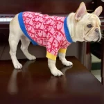 frenchies community pink dogior frenchie sweater