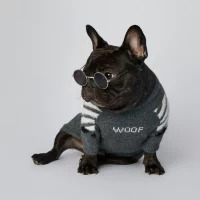 frenchies community woof french bulldog sweaters